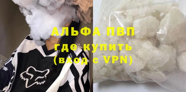 прущие грибы Волоколамск
