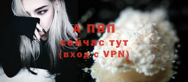 прущие грибы Волоколамск