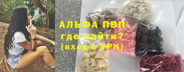 прущие грибы Волоколамск