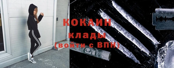прущие грибы Волоколамск