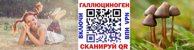 Псилоцибиновые грибы мухоморы  OMG ONION  Верхотурье 